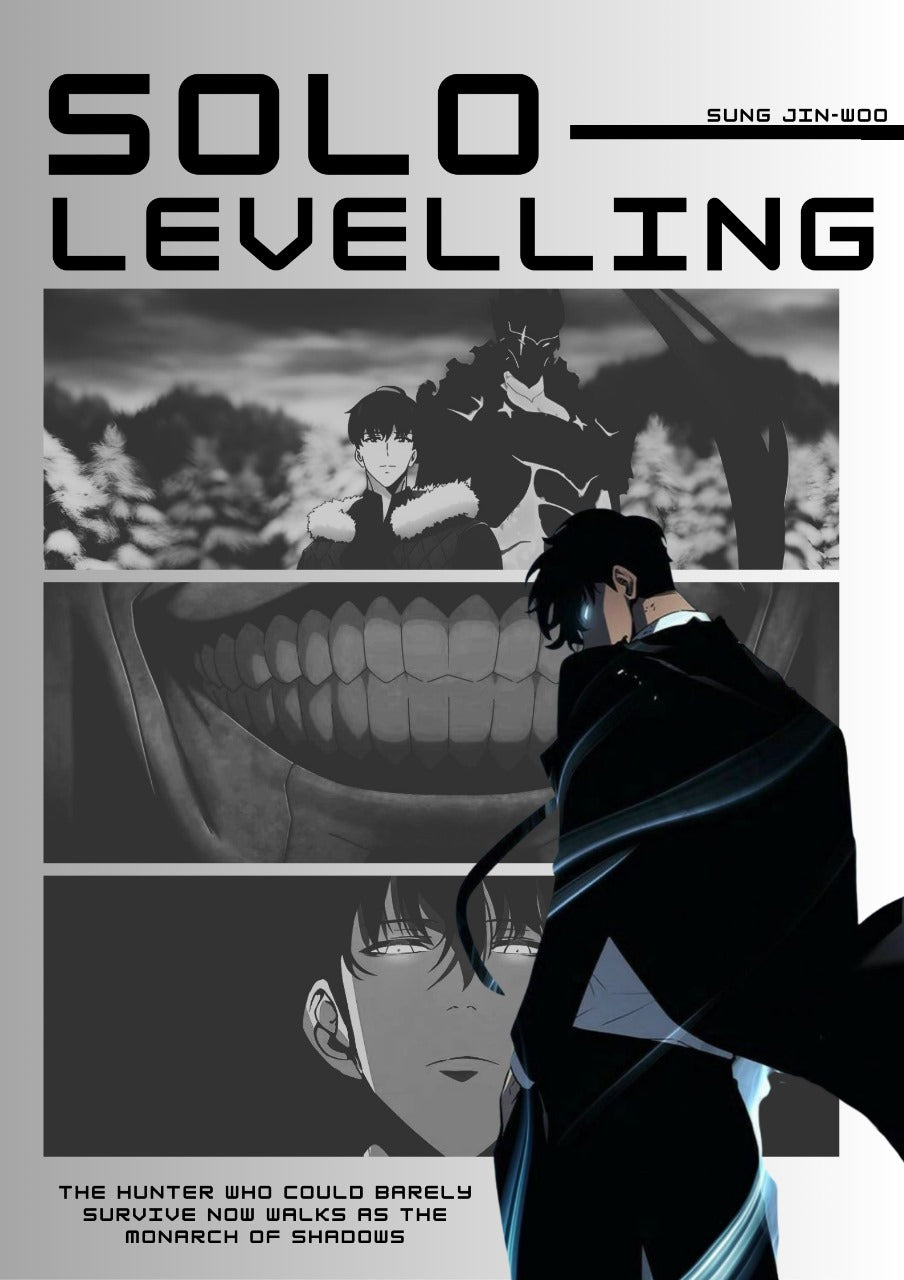 Solo Levelling- Sung Jinn Woo