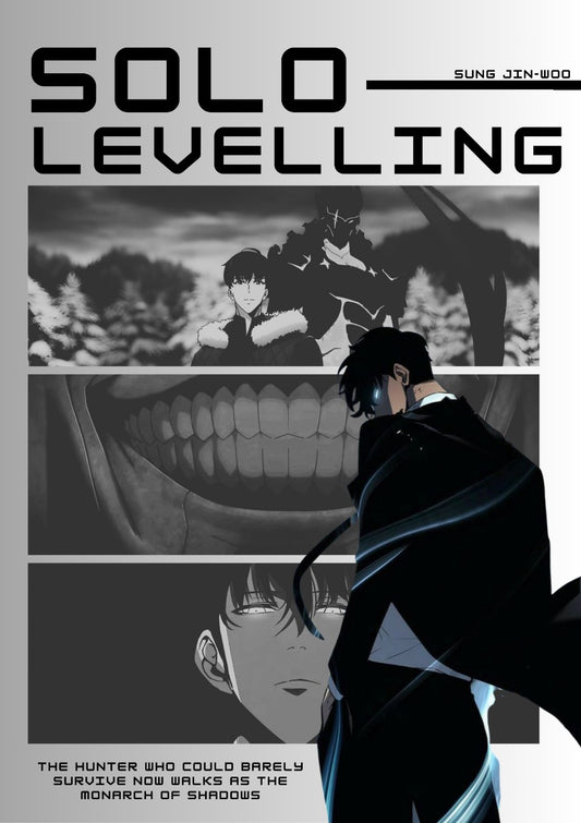 Solo Levelling- Sung Jinn Woo
